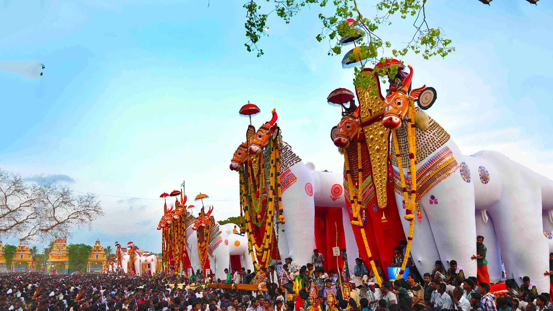 Kerala Village Fair
